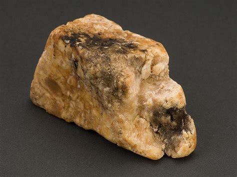 Why Ambergris or 'Floating Gold' From Dead Whales Is so .